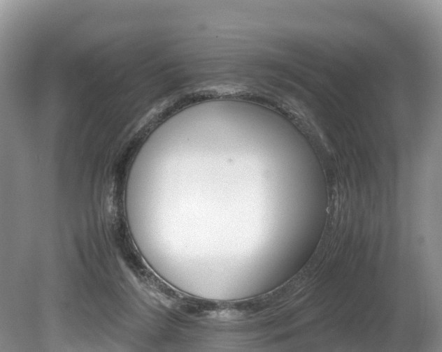 X0000080110212200612081003