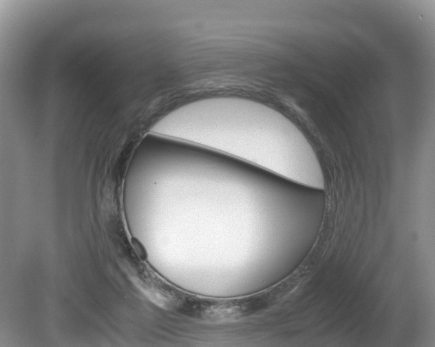 X0000080110213200612081003