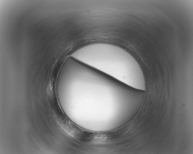 X0000080110214200612081003