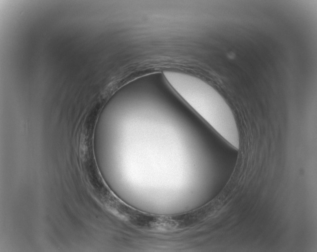 X0000080110215200612081003