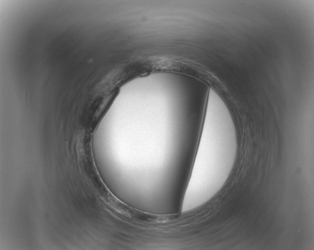 X0000080110217200612081003