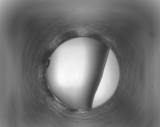 X0000080110221200612081003