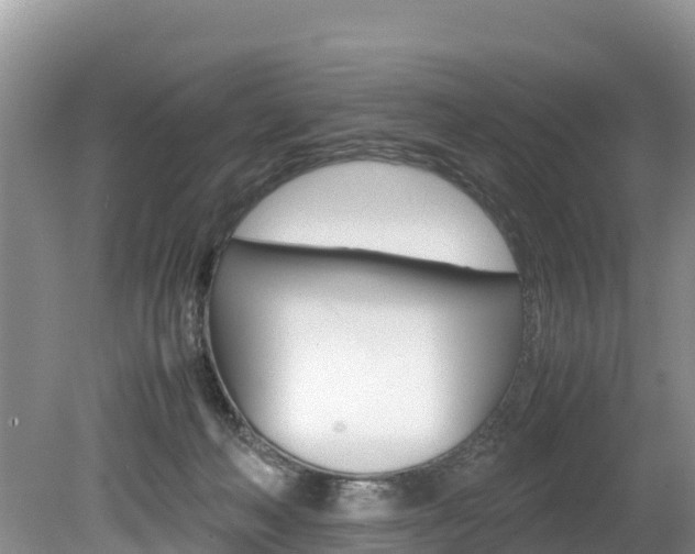 X0000080110222200612081003