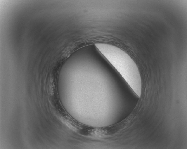 X0000080110223200612081003