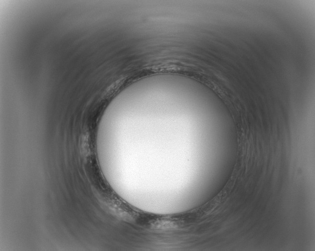 X0000080110224200612081003