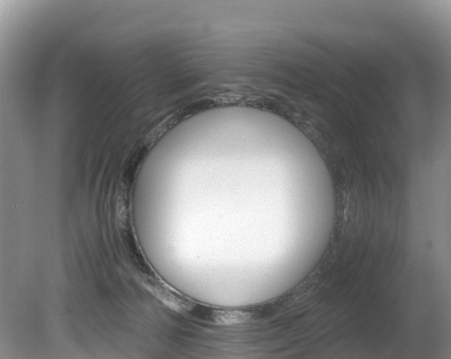 X0000080110226200612081003