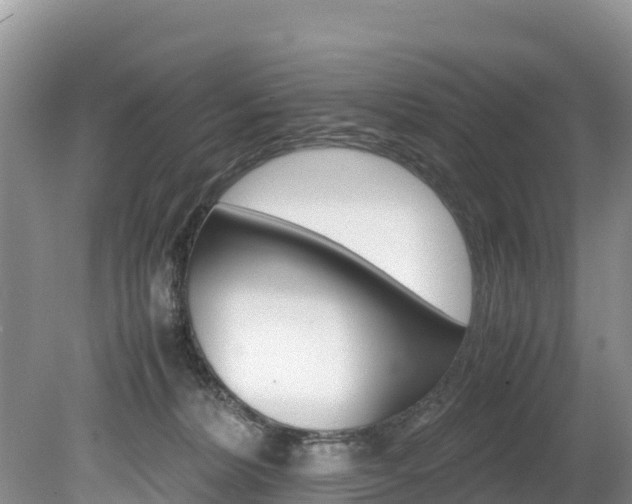 X0000080110228200612081003