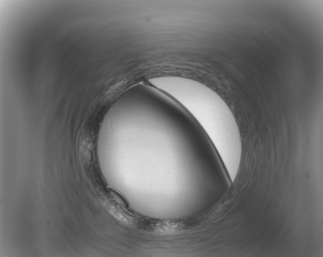 X0000080110235200612081003