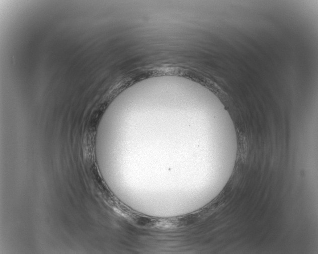 X0000080110236200612081003