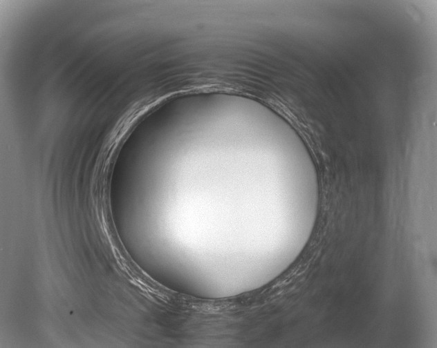 X0000080110241200612081002