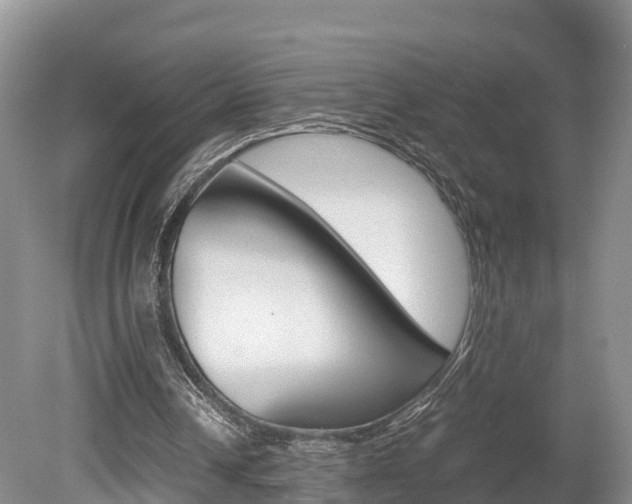 X0000080110242200612081002