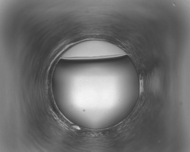 X0000080110243200612081002