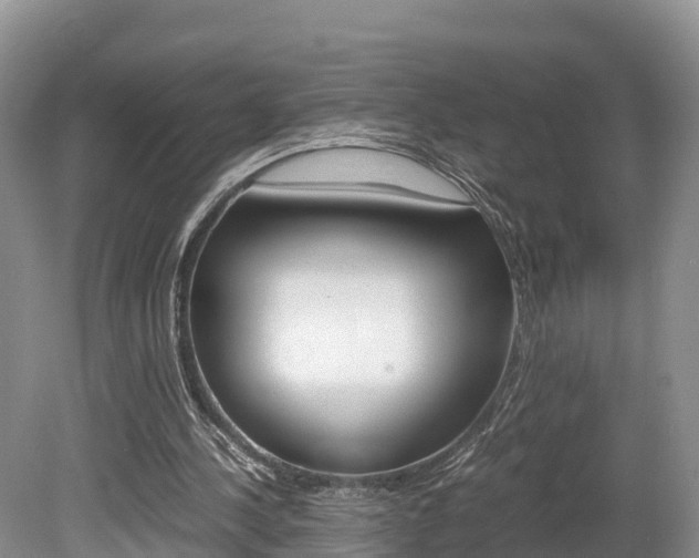 X0000080110244200612081002