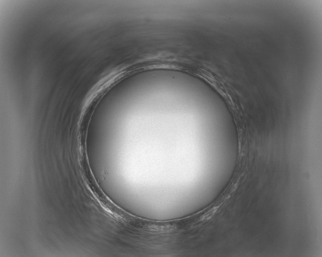 X0000080110245200612081002