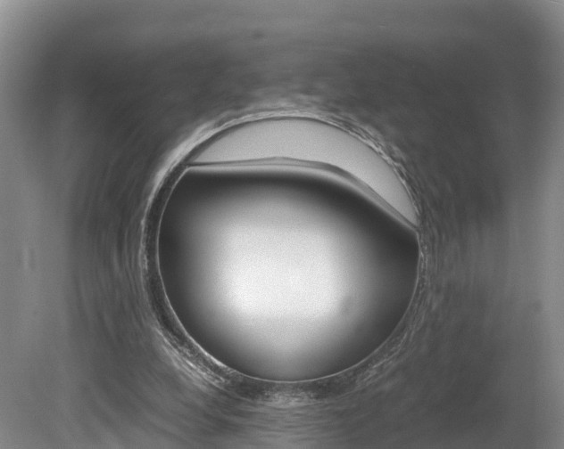 X0000080110248200612081002