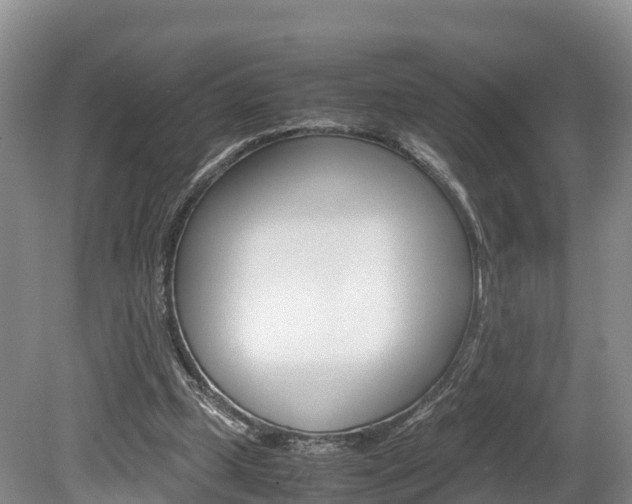 X0000080110249200612081002