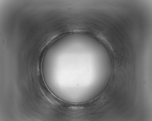X0000080110251200612081002