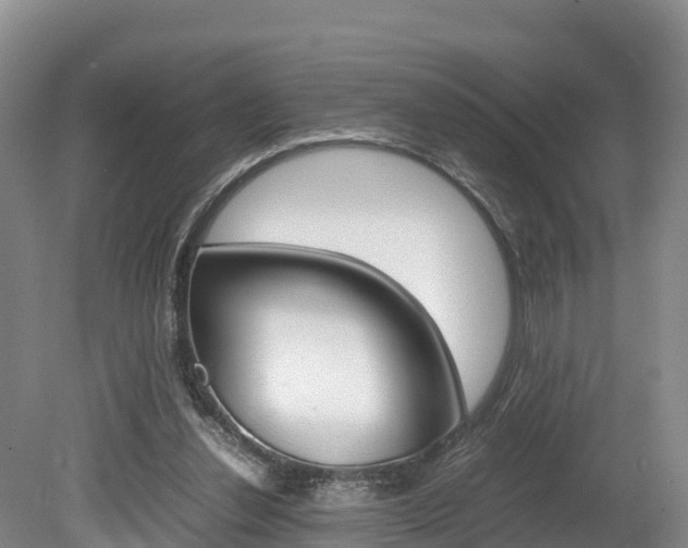 X0000080110252200612081002