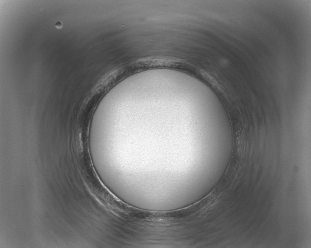 X0000080110254200612081002