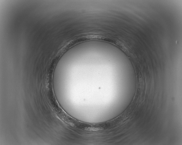 X0000080110255200612081002