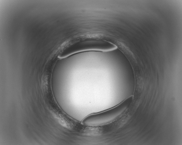 X0000080110260200612081003