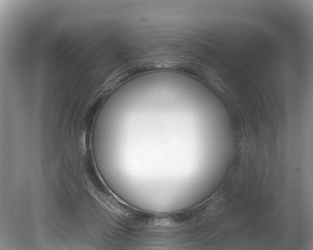 X0000080110262200612081003