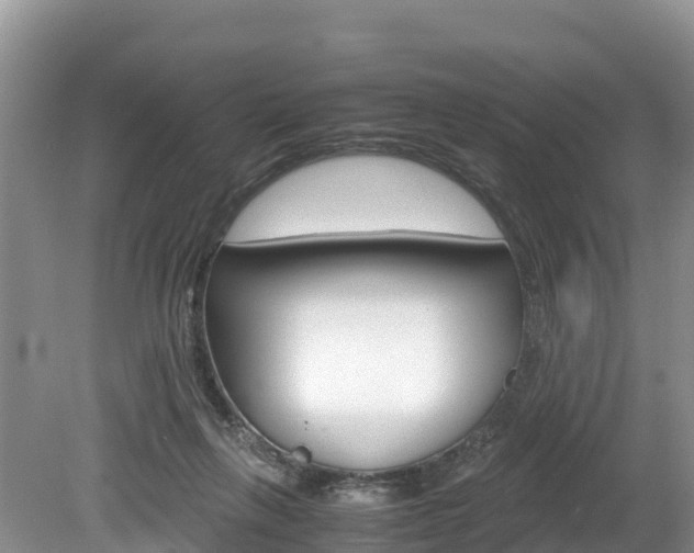 X0000080110263200612081003