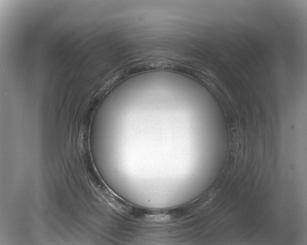 X0000080110266200612081003