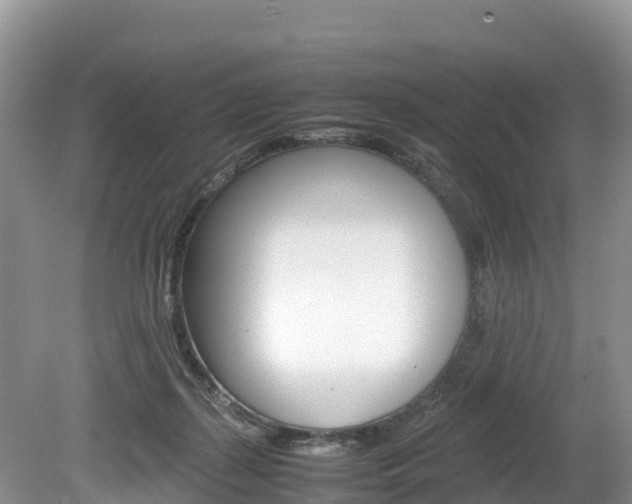 X0000080110267200612081003