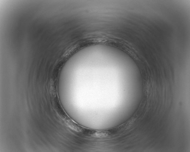 X0000080110270200612081003