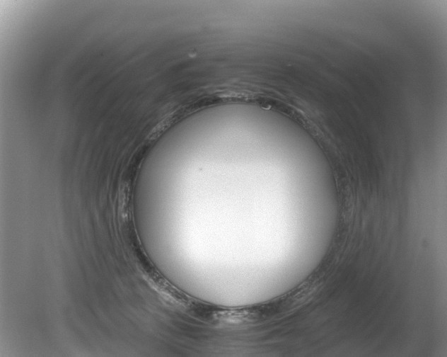 X0000080110273200612081003