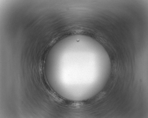X0000080110274200612081003