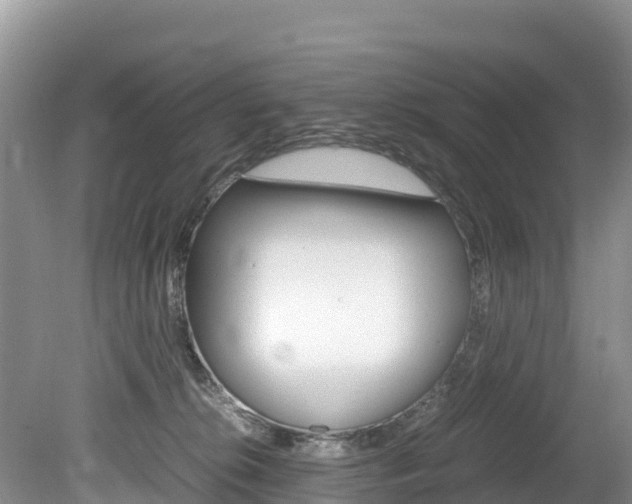 X0000080110276200612081003