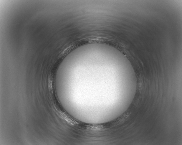 X0000080110282200612081003