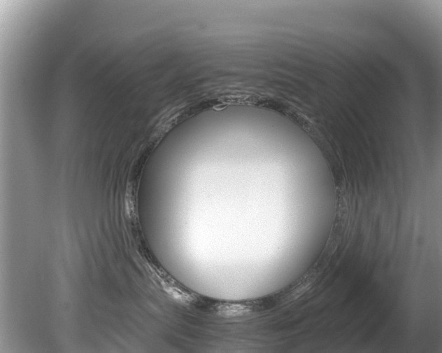 X0000080110287200612081003