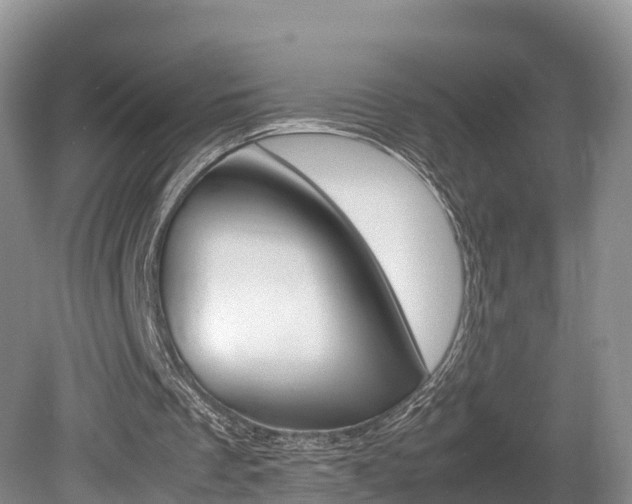 X0000080110289200612081002