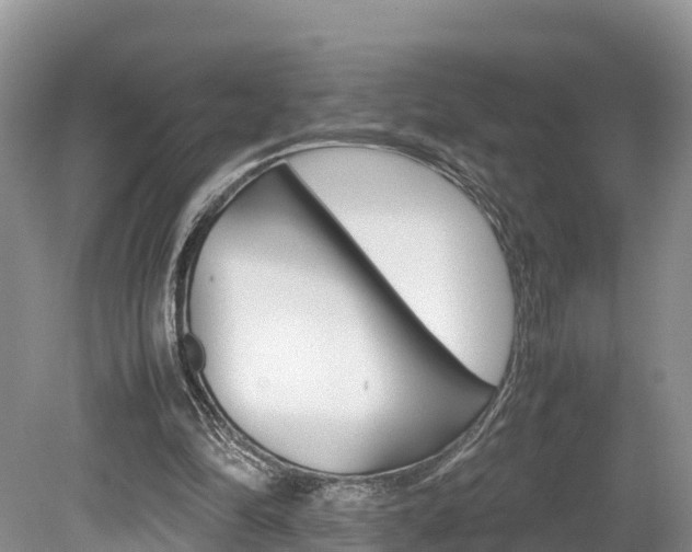 X0000080110294200612081002