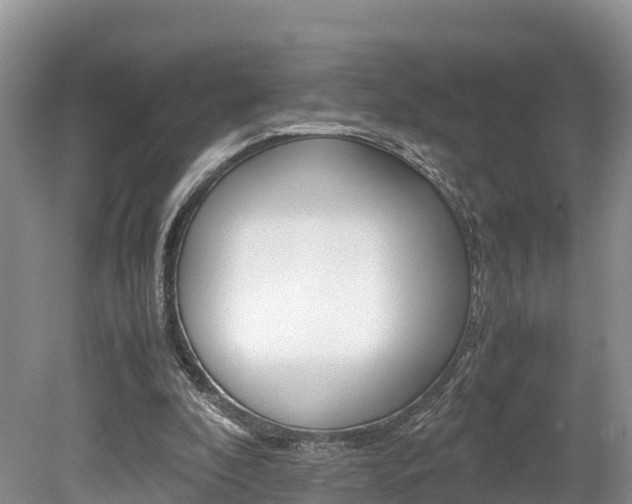 X0000080110296200612081002