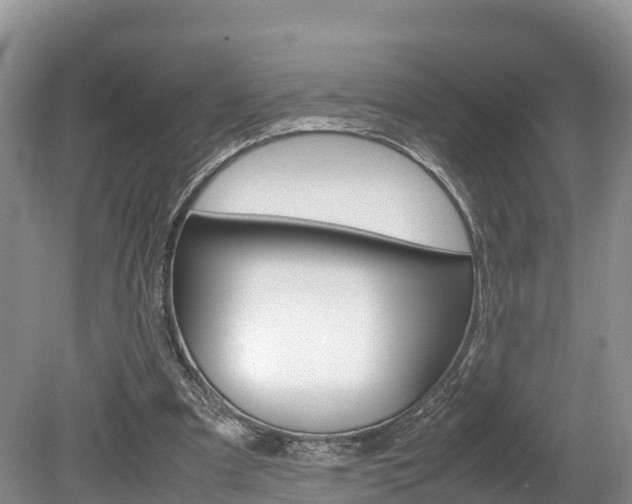 X0000080110297200612081002