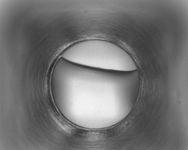X0000080110298200612081002