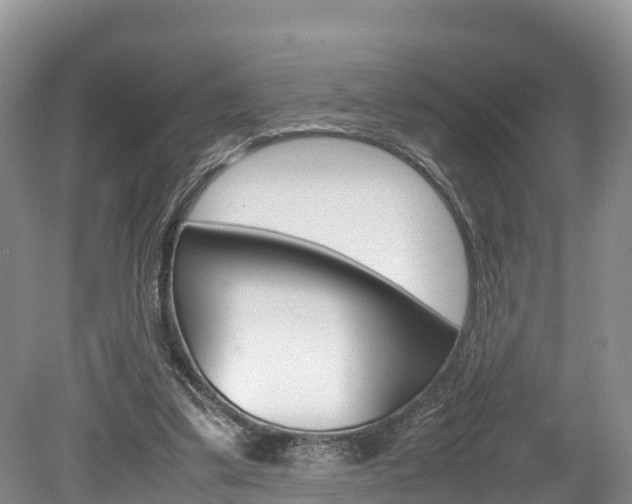 X0000080110299200612081002