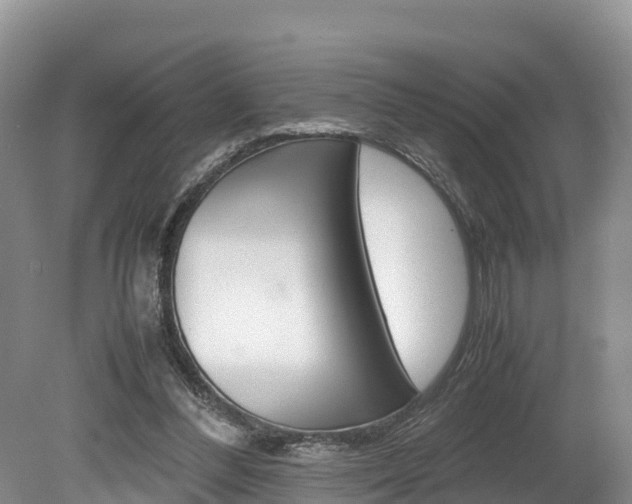 X0000080110300200612081002