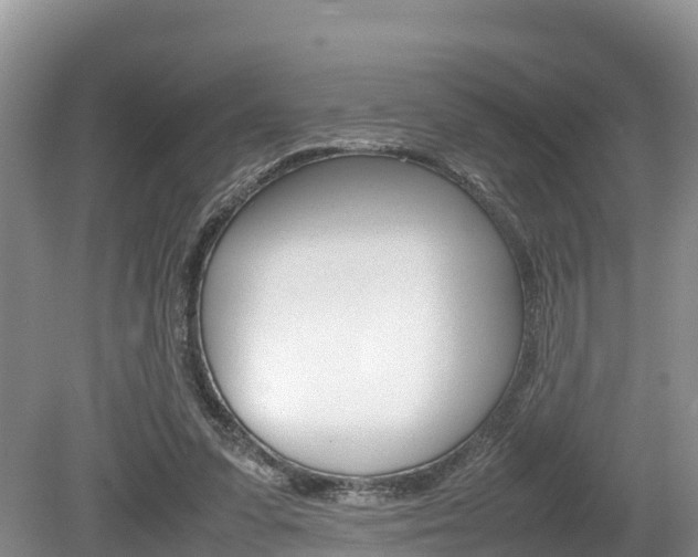 X0000080110303200612081002