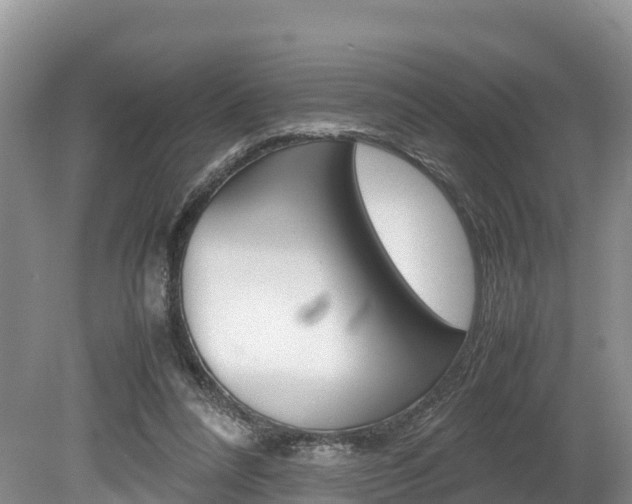 X0000080110304200612081002