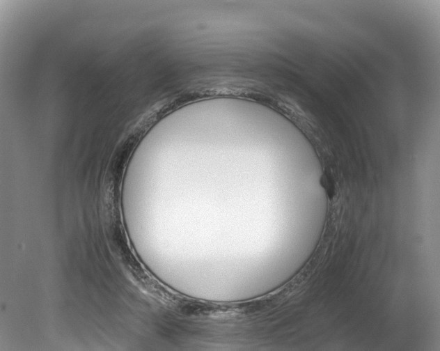 X0000080110306200612081002