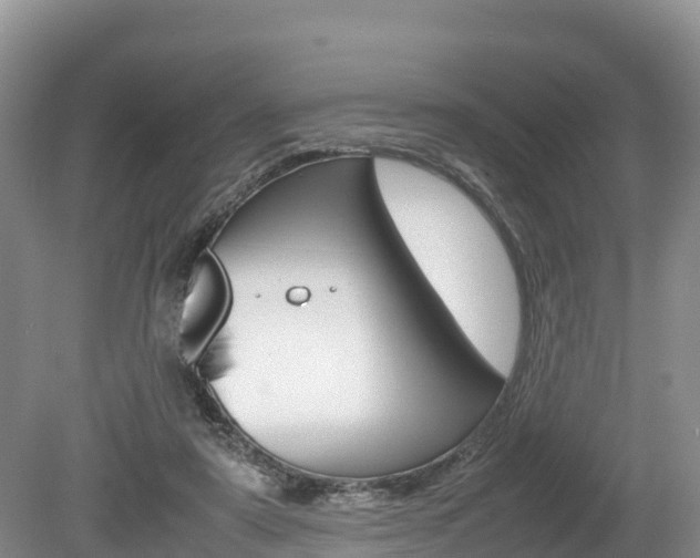 X0000080110307200612081002