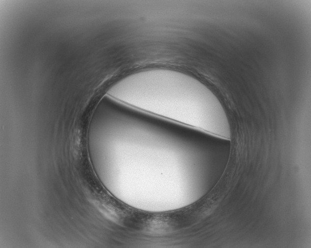 X0000080110308200612081002