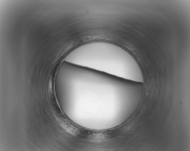 X0000080110310200612081002