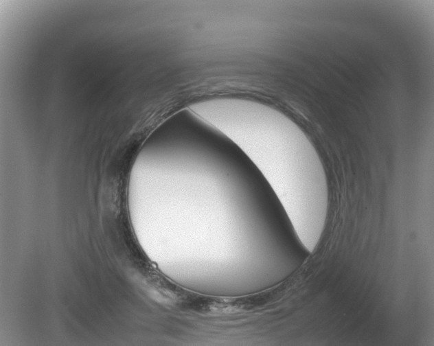 X0000080110311200612081002