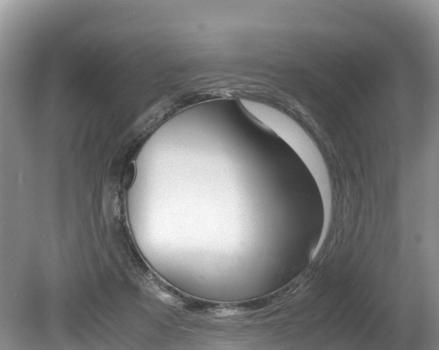 X0000080110313200612081002
